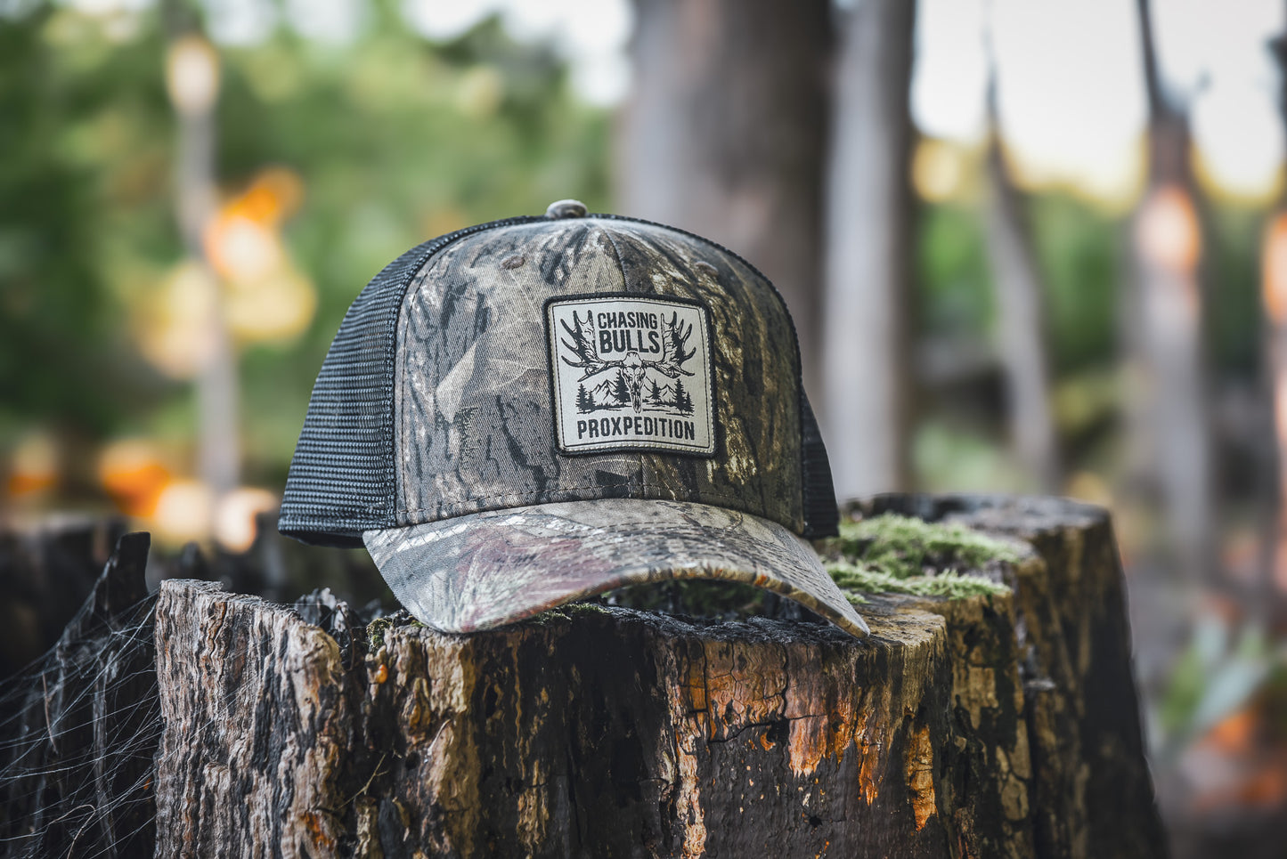 "Chasing Bulls" Hat - Mossy Oak