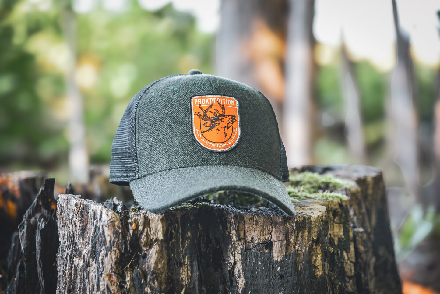 "Backwoods Born & Raised" Hat - Hunter