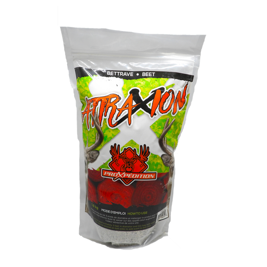 ATTRAXION - Beets