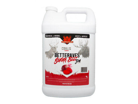Coulis - Betteraves