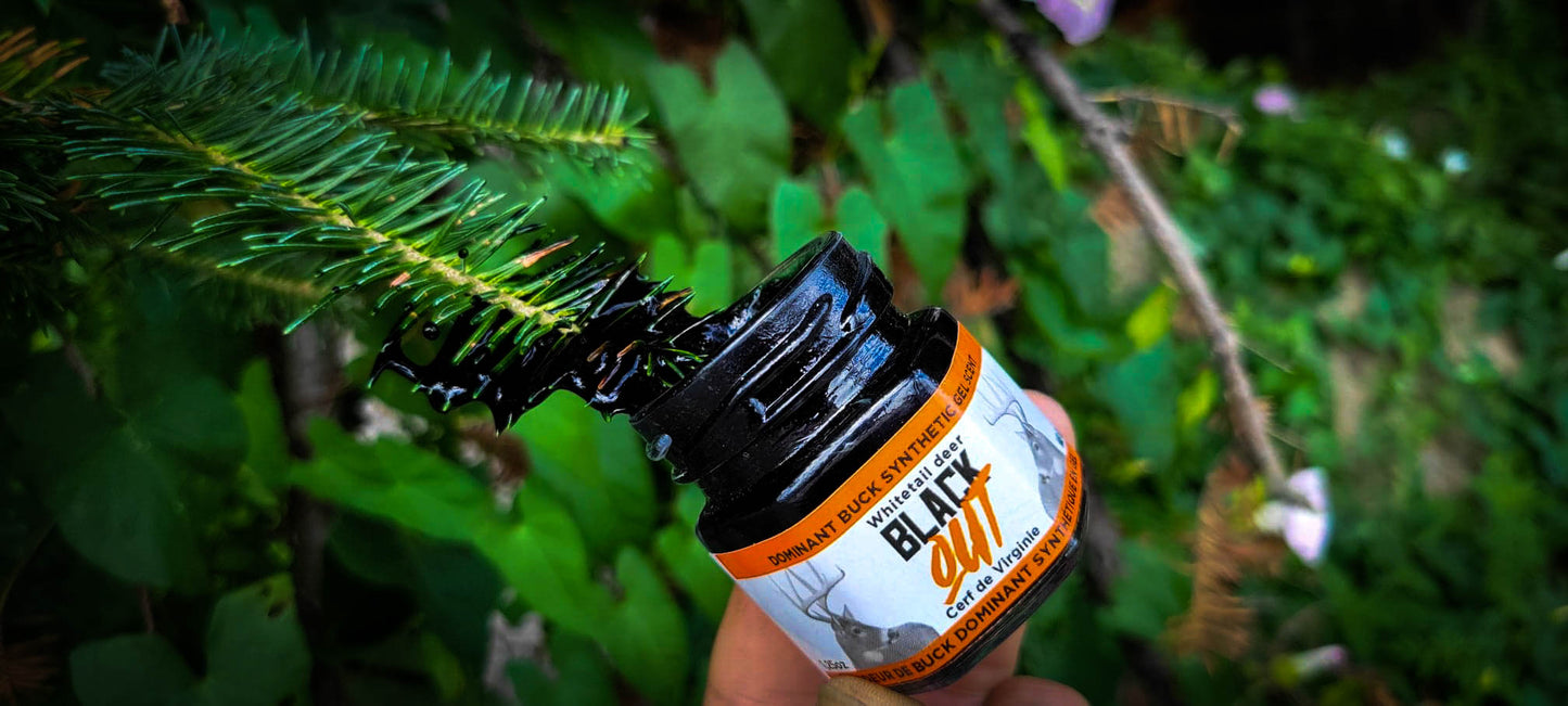 BLACK OUT - Dominant Buck Gel