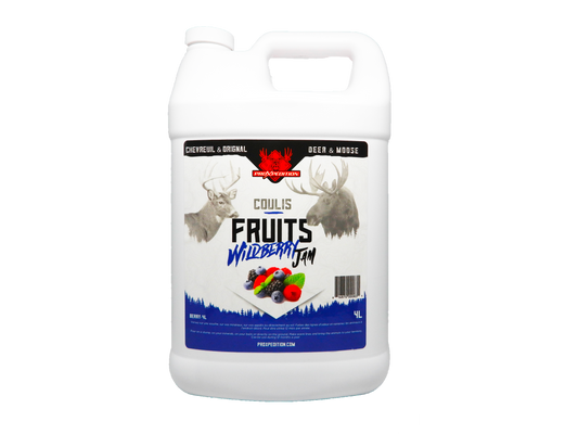 Coulis - Fruits