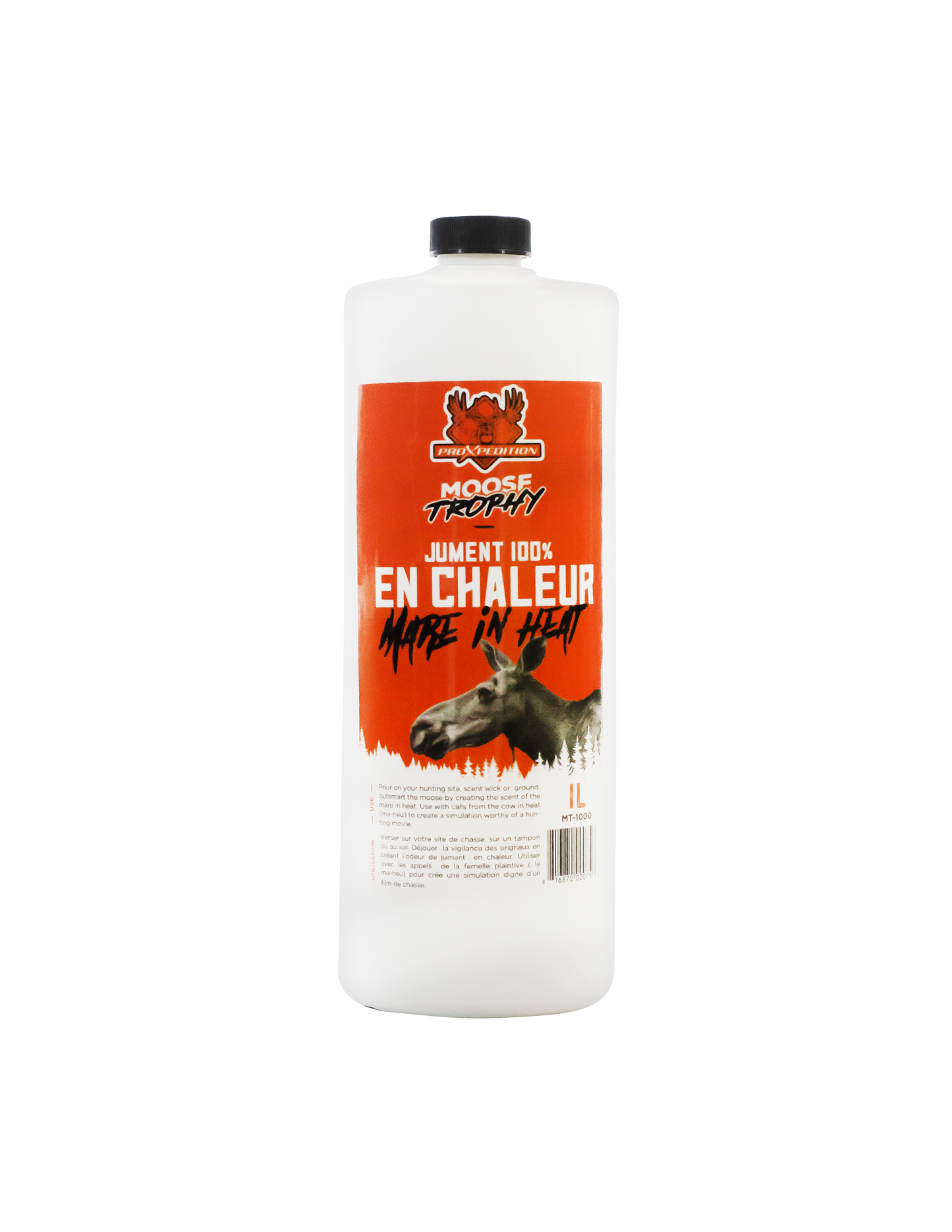 MOOSE TROPHY – Cow in Heat