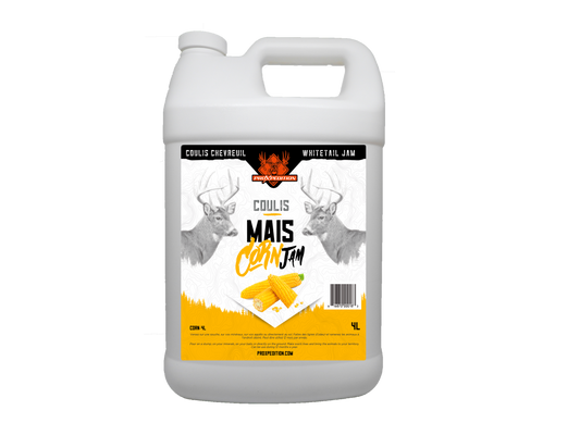 Coulis - Maïs