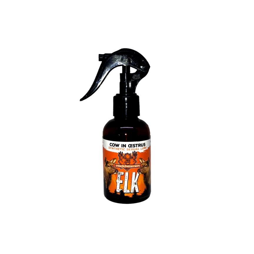 SEXUAL LURE - Cow in Heat - Elk