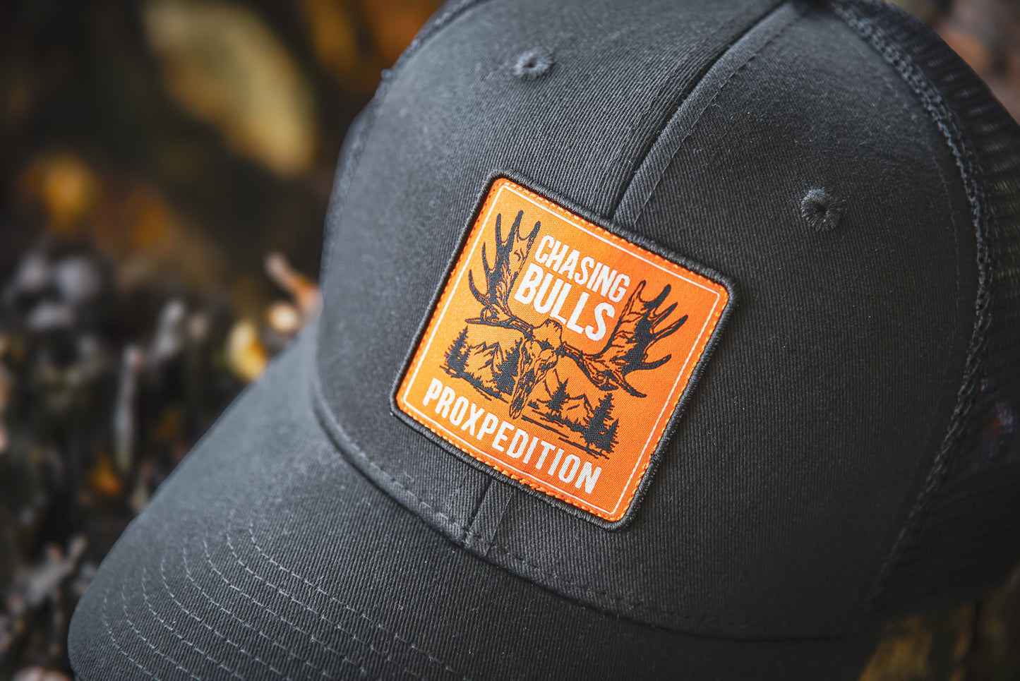 Casquette "Chasing Bulls" - Black