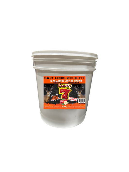 LUCKY 7 - Mineral Site